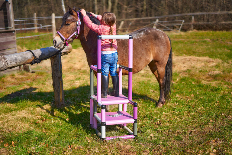 Girl stands on a Quadro step stool to reach her horse